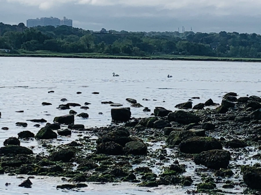 IMG_3221.jpg?type=w966