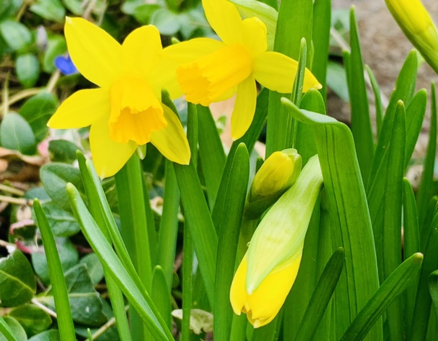 IMG_3213.jpg?type=w966