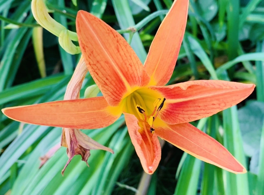 IMG_5254.jpg?type=w966