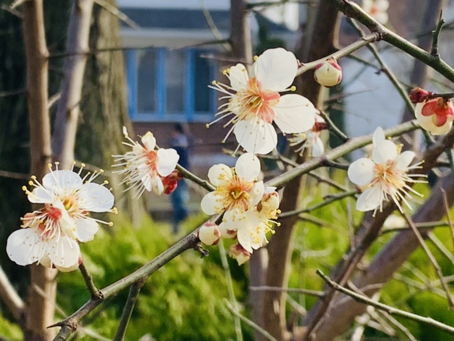 IMG_0241.jpg?type=w966