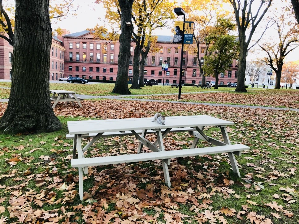 IMG_E1439.JPG?type=w966