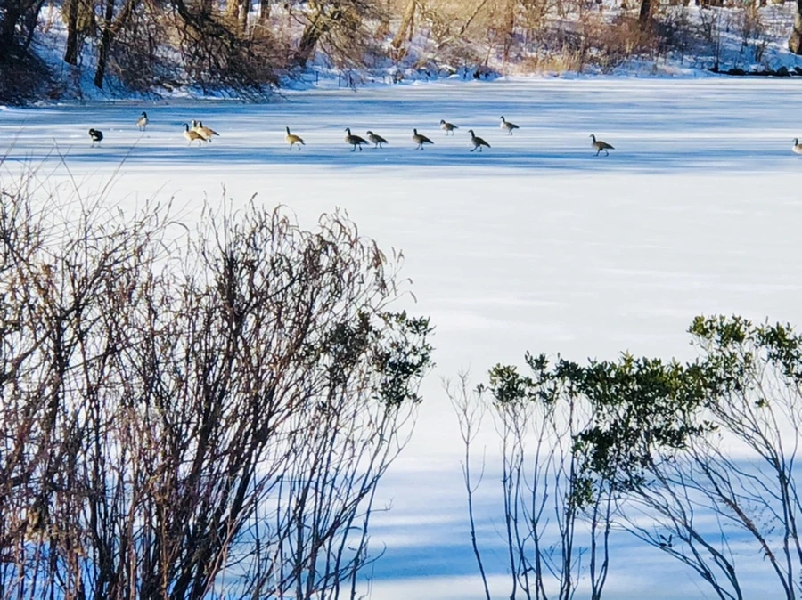 IMG_9843.jpg?type=w966