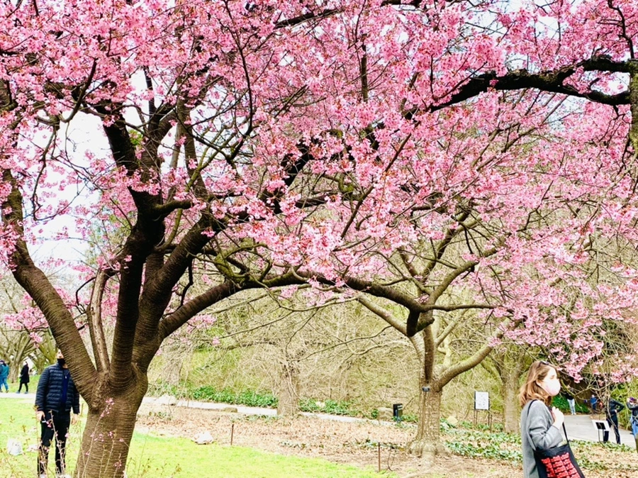 IMG_7080.jpg?type=w966