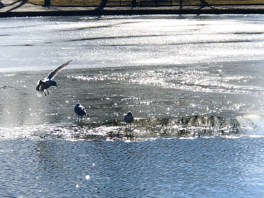 IMG_6821.jpg?type=w966