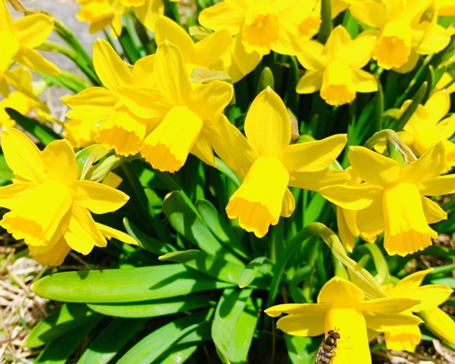 IMG_3378.jpg?type=w966