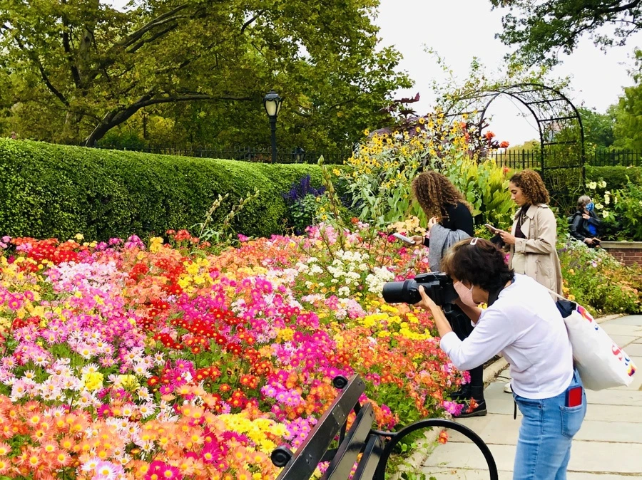 IMG_2466.jpg?type=w966