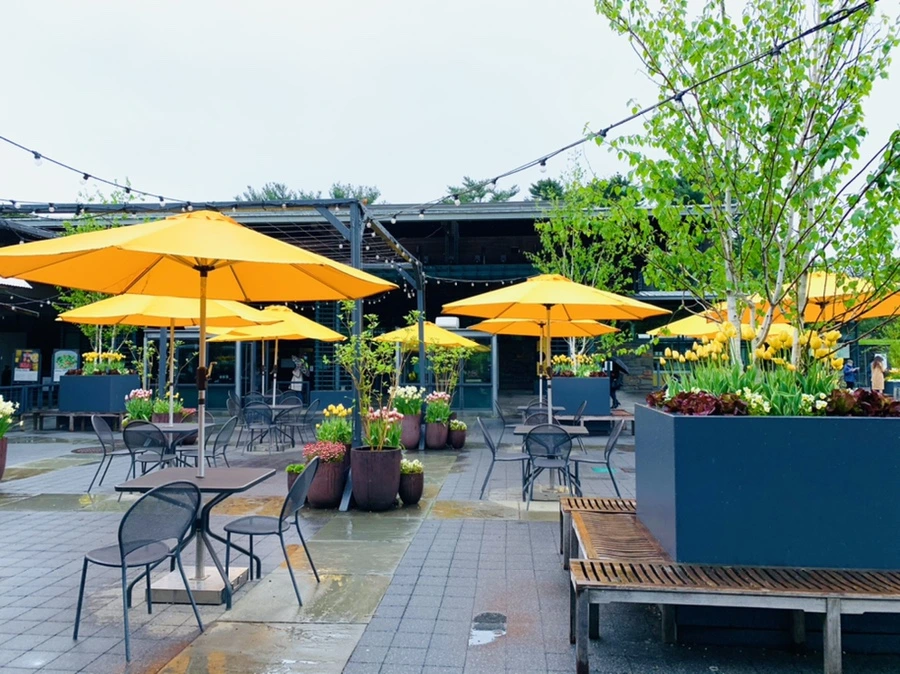 IMG_9753.jpg?type=w966