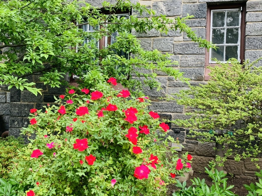 IMG_5309.jpg?type=w966