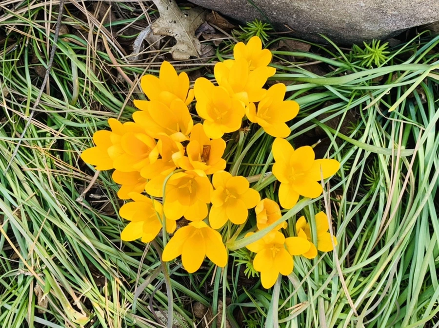 IMG_2976.jpg?type=w966