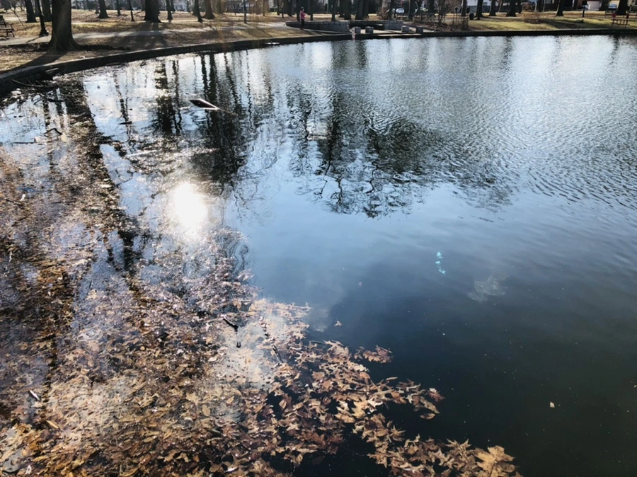 IMG_4117.jpg?type=w966