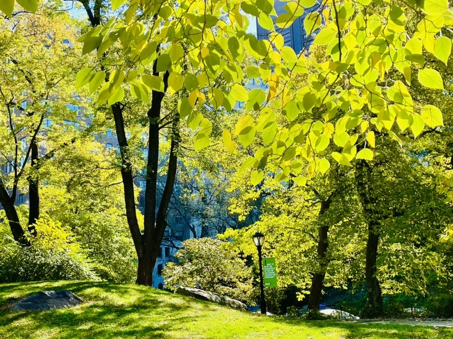 IMG_0559.jpg?type=w966