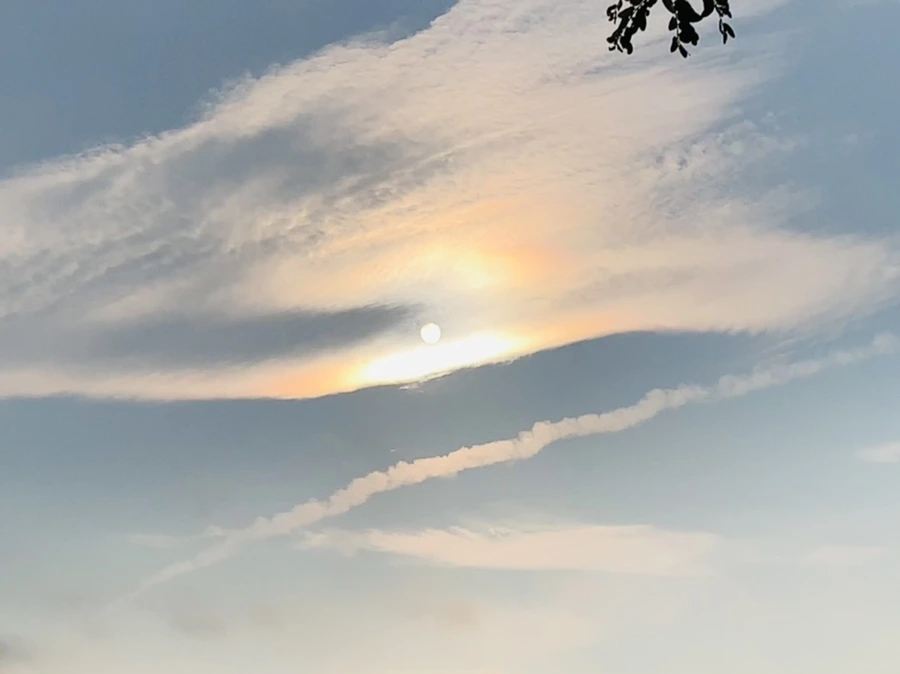 IMG_2233.jpg?type=w966