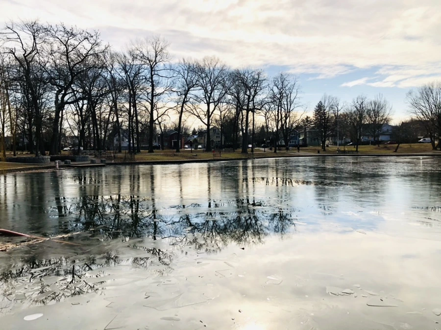 IMG_4740.jpg?type=w966