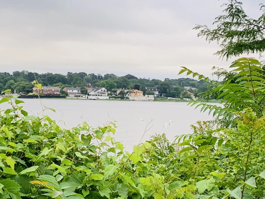 IMG_7114.jpg?type=w966