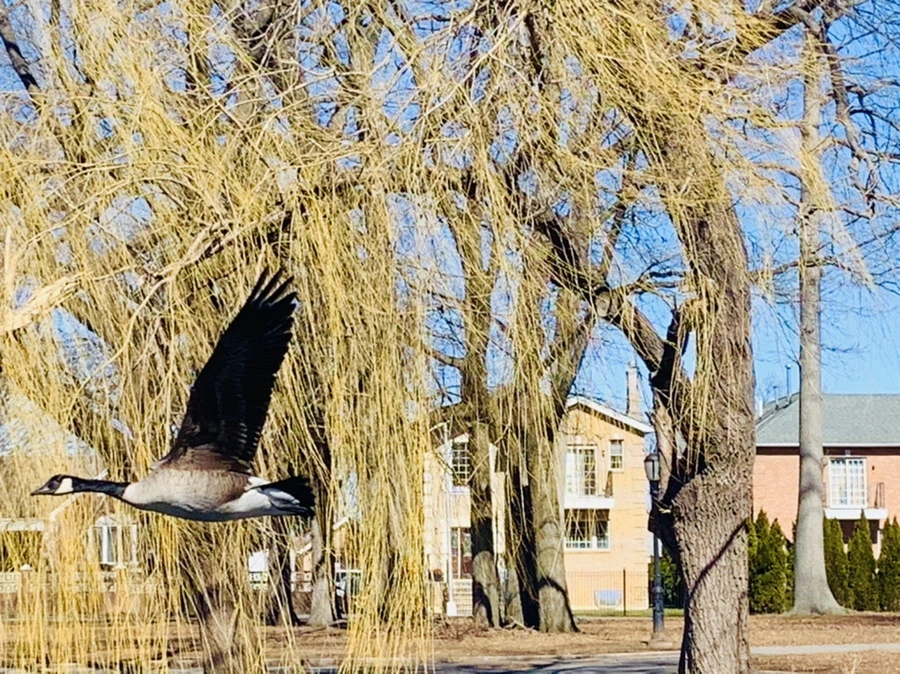 IMG_6643.jpg?type=w966