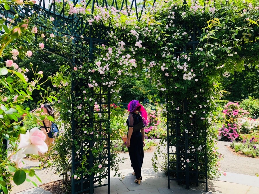 IMG_7166.jpg?type=w966