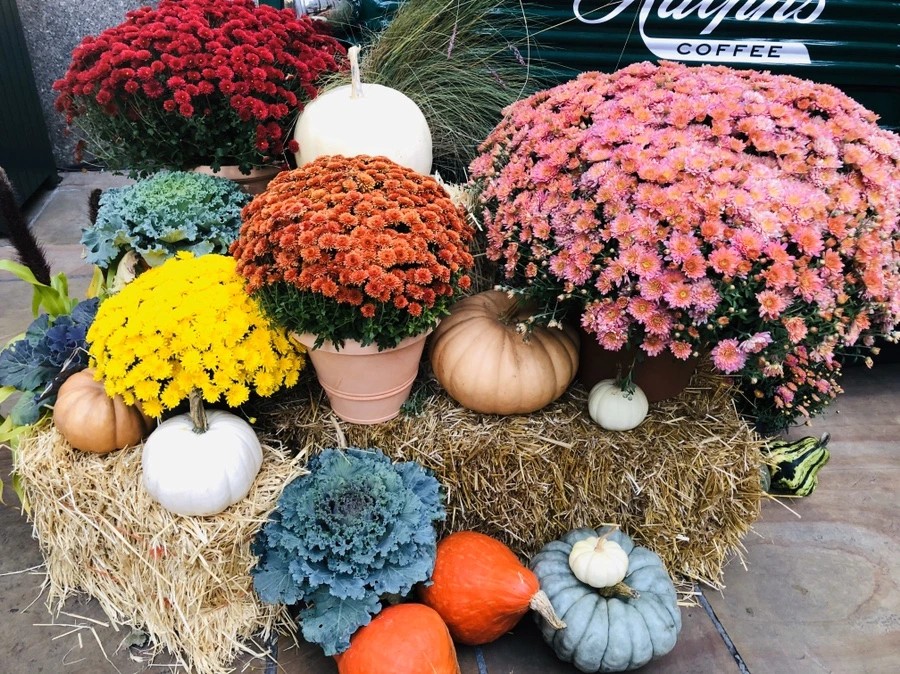 IMG_1091.jpg?type=w966