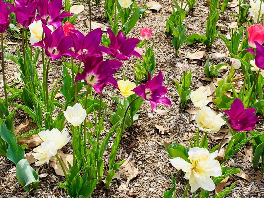 IMG_6984.jpg?type=w966