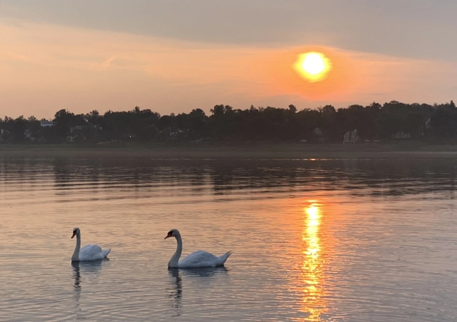 IMG_1472.jpg?type=w966