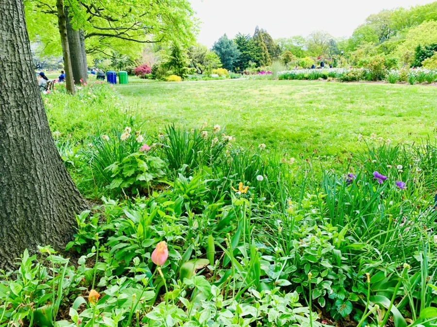 IMG_1318.jpg?type=w966