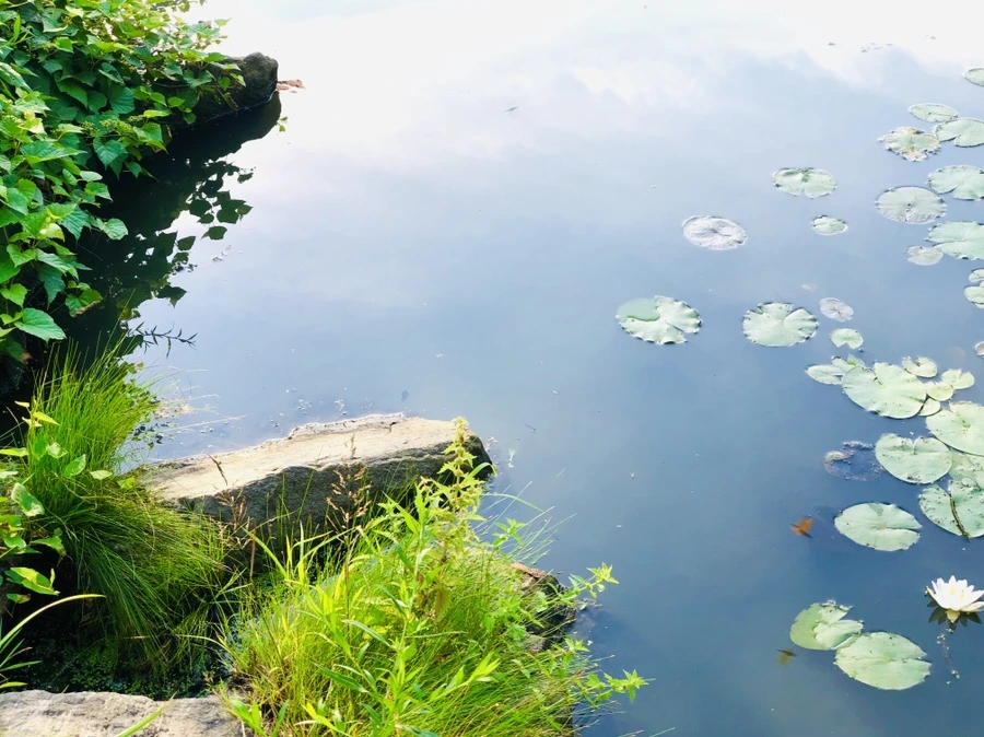 IMG_5008.jpg?type=w966