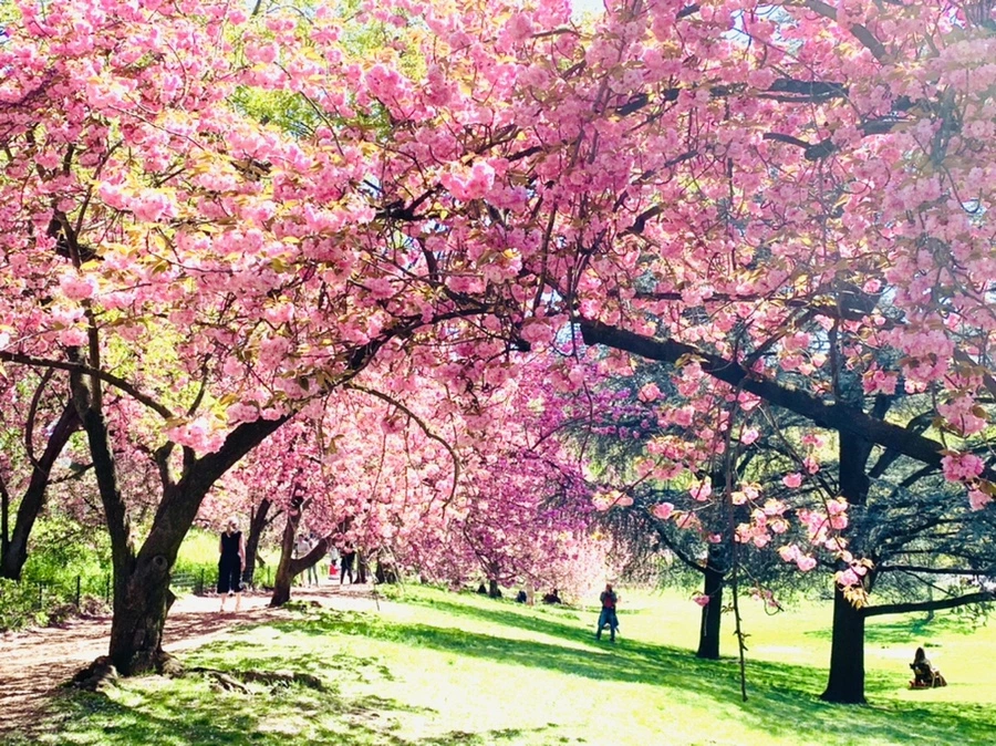 IMG_5877.jpg?type=w966