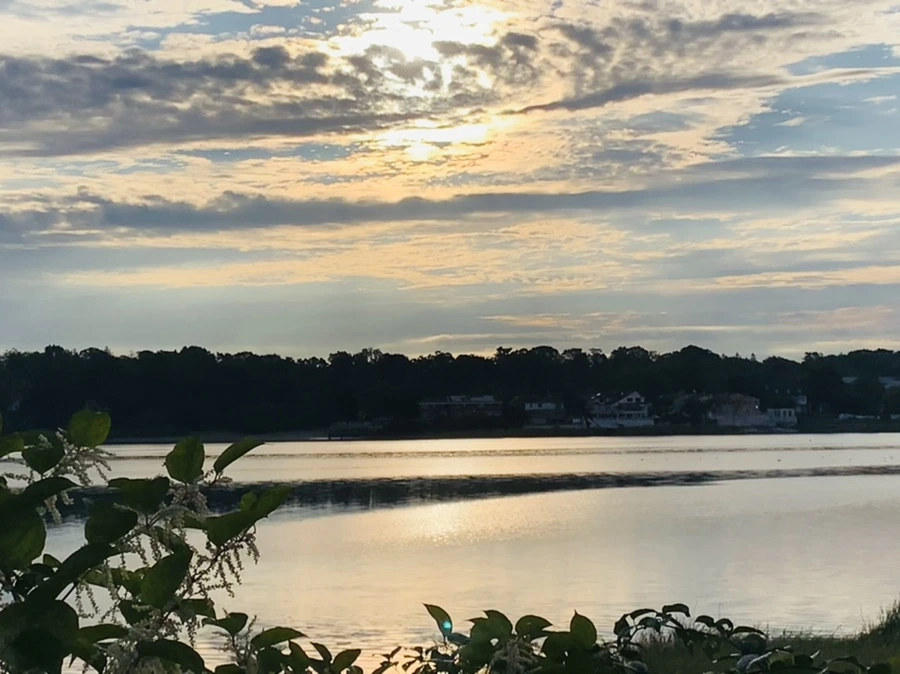 IMG_7753.jpg?type=w966