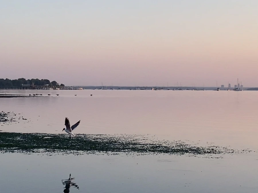 IMG_0150.jpg?type=w966