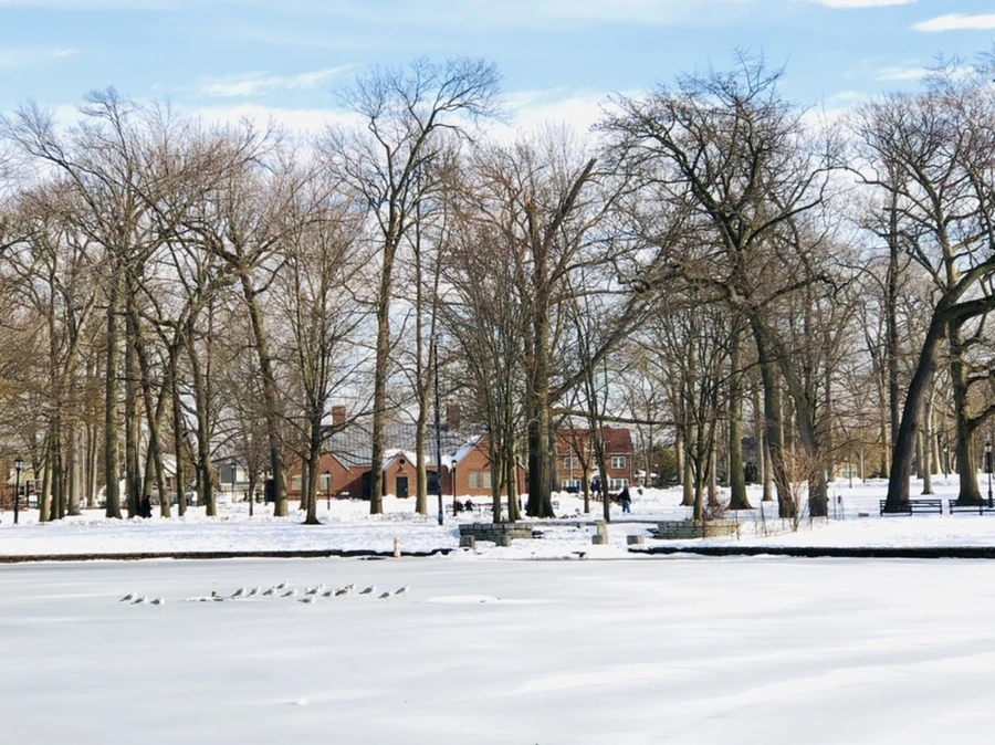 IMG_0090.jpg?type=w966