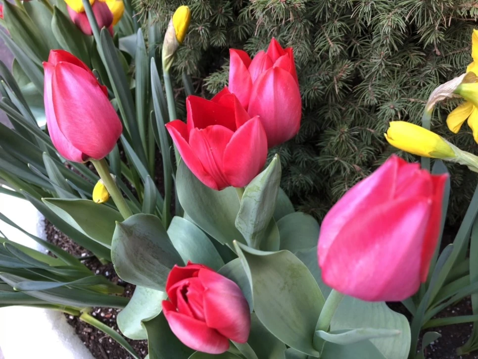 IMG_2214.jpg?type=w966