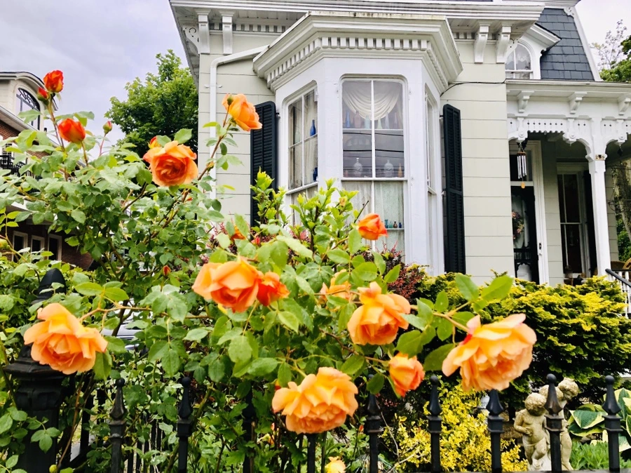 IMG_7383.jpg?type=w966