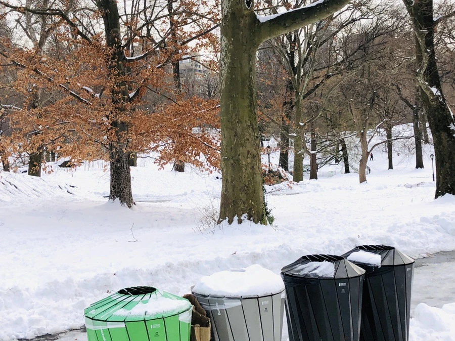 IMG_7341.jpg?type=w966