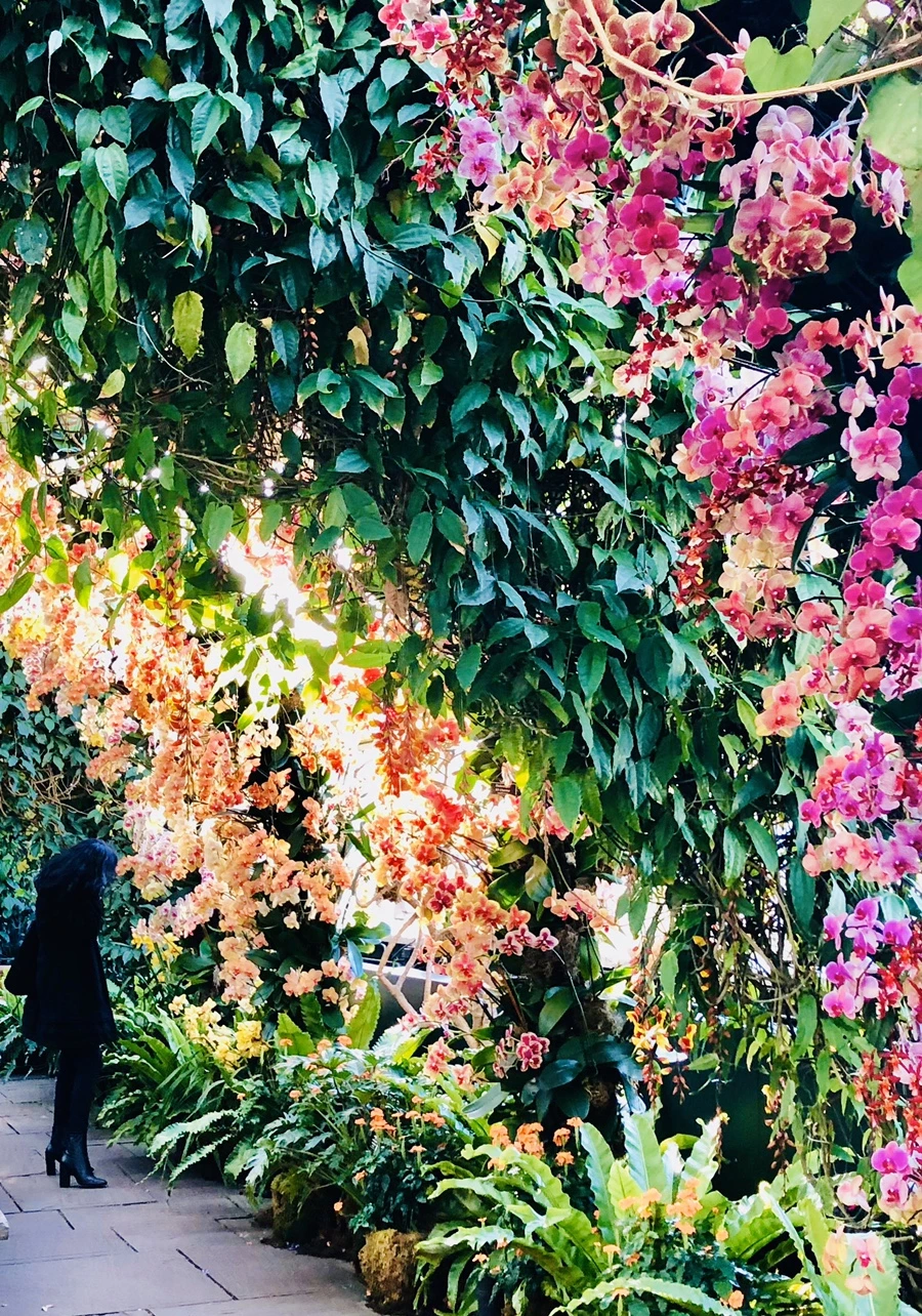 IMG_6303.jpg?type=w966