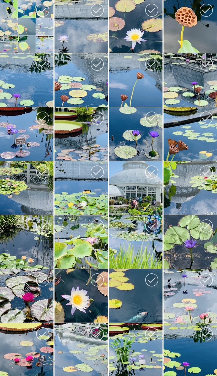 IMG_1177.jpg?type=w966