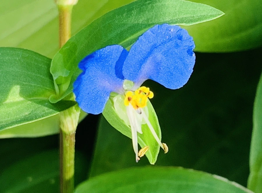 IMG_5626.jpg?type=w966