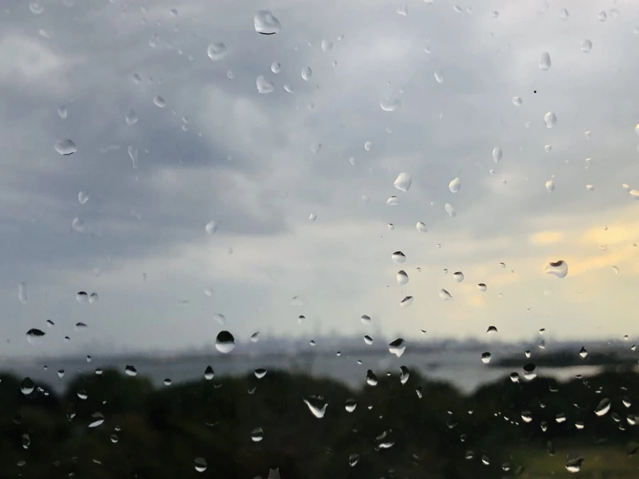 IMG_1641.jpg?type=w966