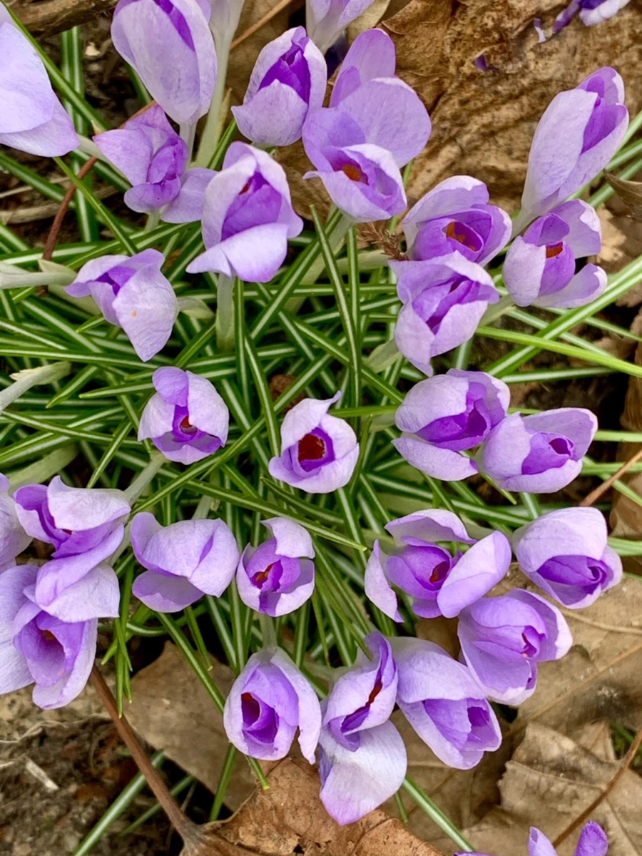 IMG_1722.jpg?type=w966