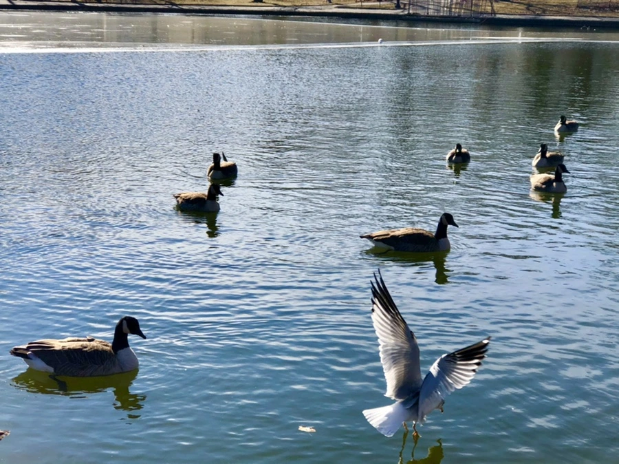 IMG_5323.jpg?type=w966