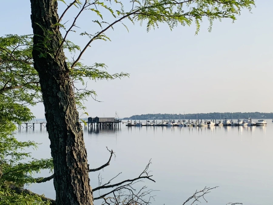 IMG_5820.jpg?type=w966