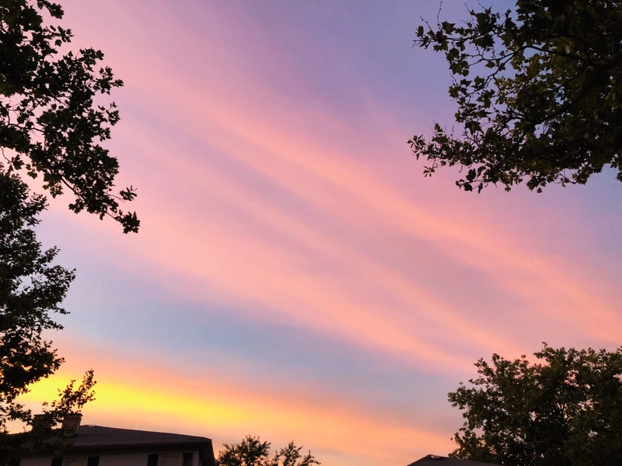 IMG_4569.jpg?type=w966