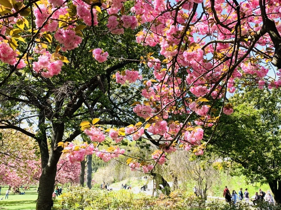 IMG_6445.jpg?type=w966