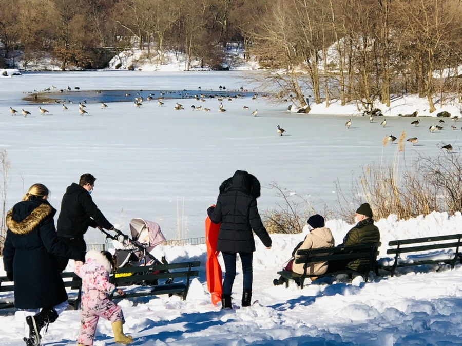 IMG_9806.jpg?type=w966