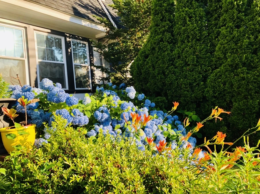 IMG_0556.jpg?type=w966