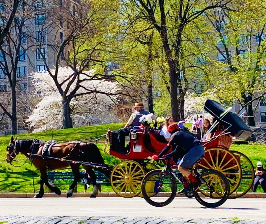 IMG_9012.jpg?type=w966