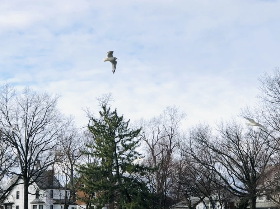 IMG_9884.jpg?type=w966