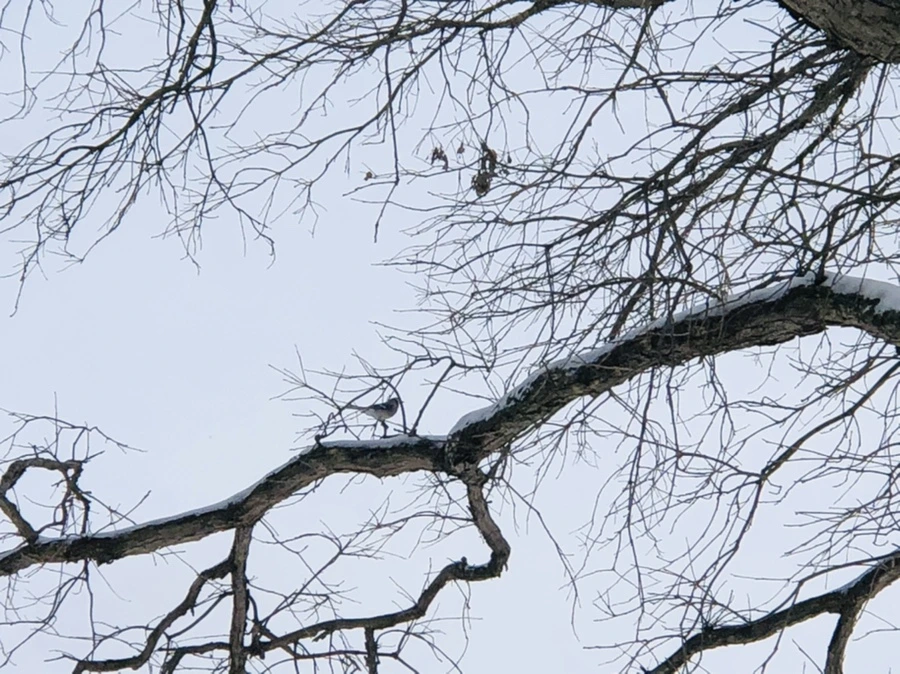 IMG_9461.jpg?type=w966