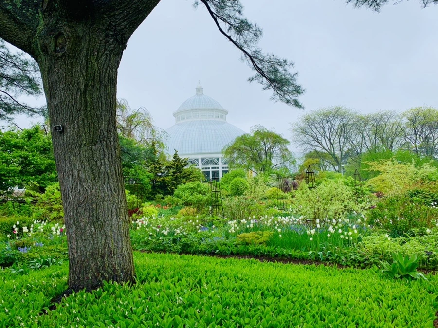 IMG_0322.jpg?type=w966