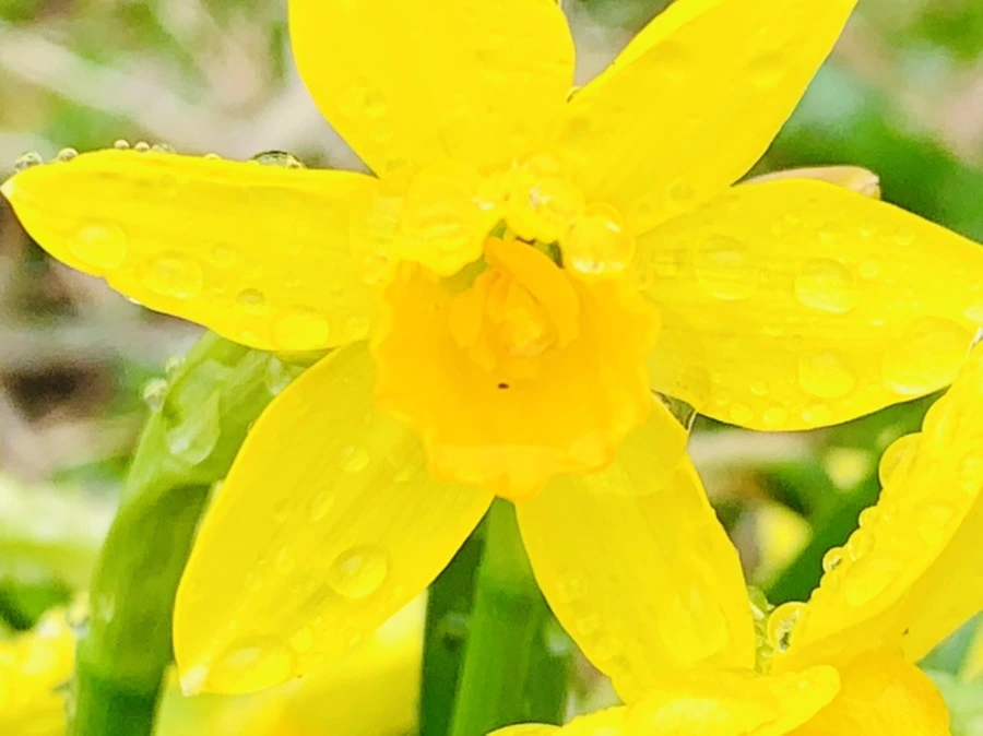 IMG_3740.jpg?type=w966