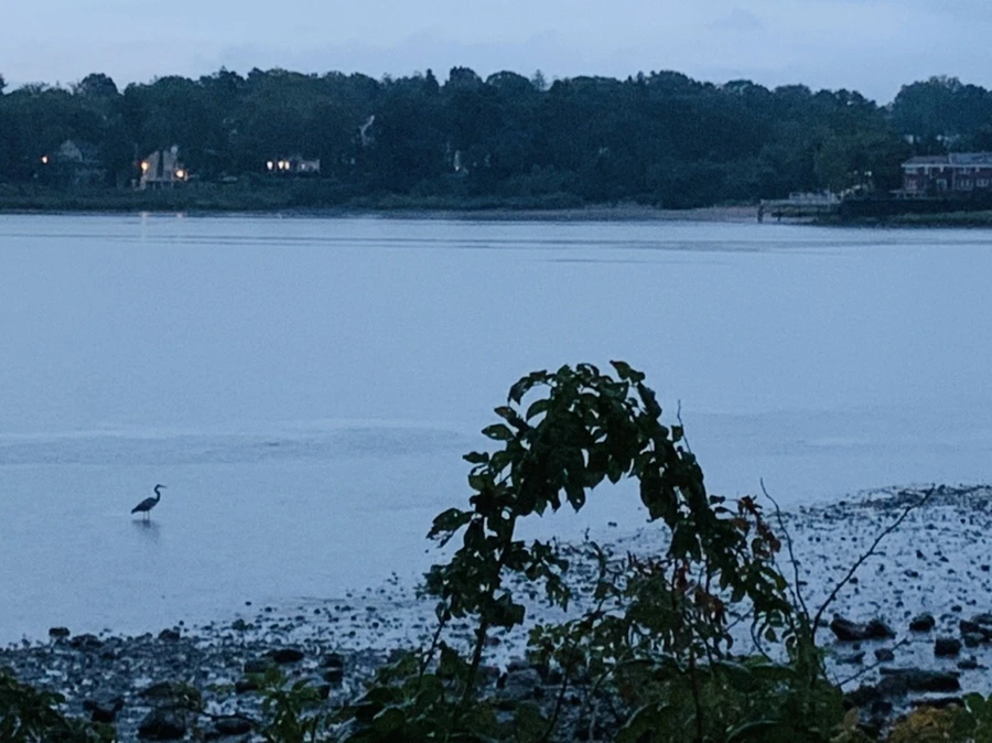 IMG_9225.jpg?type=w966