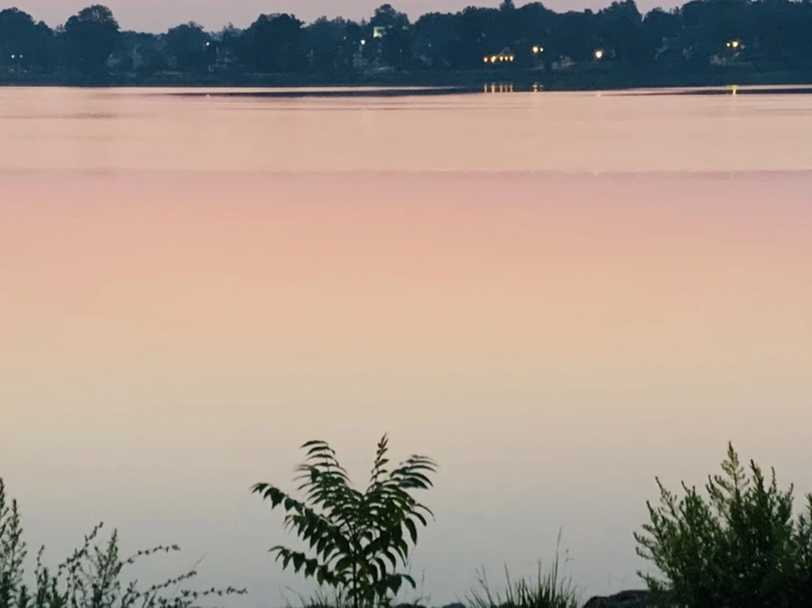 IMG_1831.jpg?type=w966